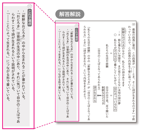 充実した解答解説